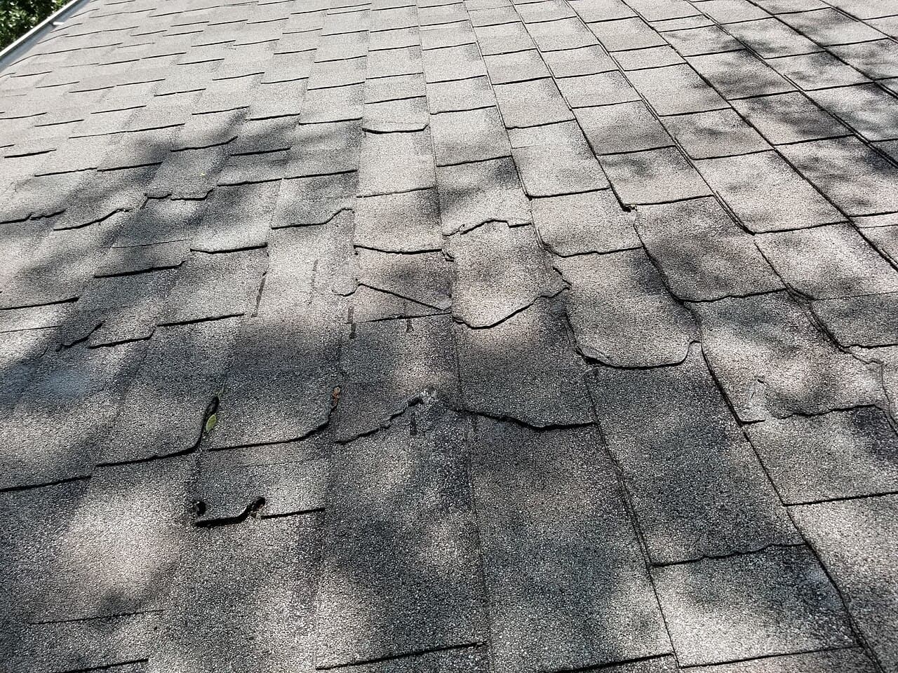 Close-up field photo showing damaged asphalt roof shingles